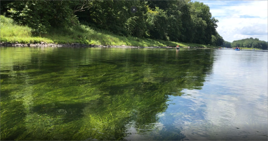 Delaware River Smithfield Beach